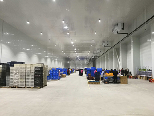 建设8000平米电商物流低温冷藏库费用造价是多少？