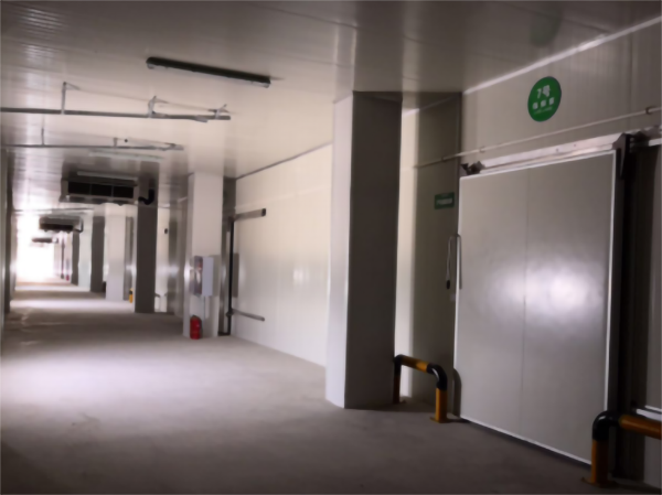 建一个5000立方香蕉冷藏冷库大概要多少钱？