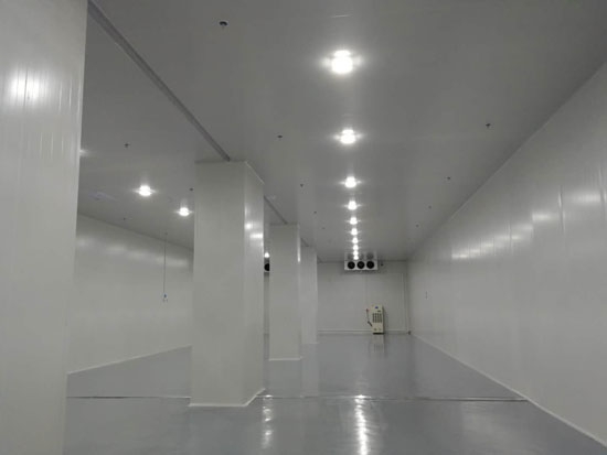 建设大型食品冷链物流冷藏库费用一般是多少？