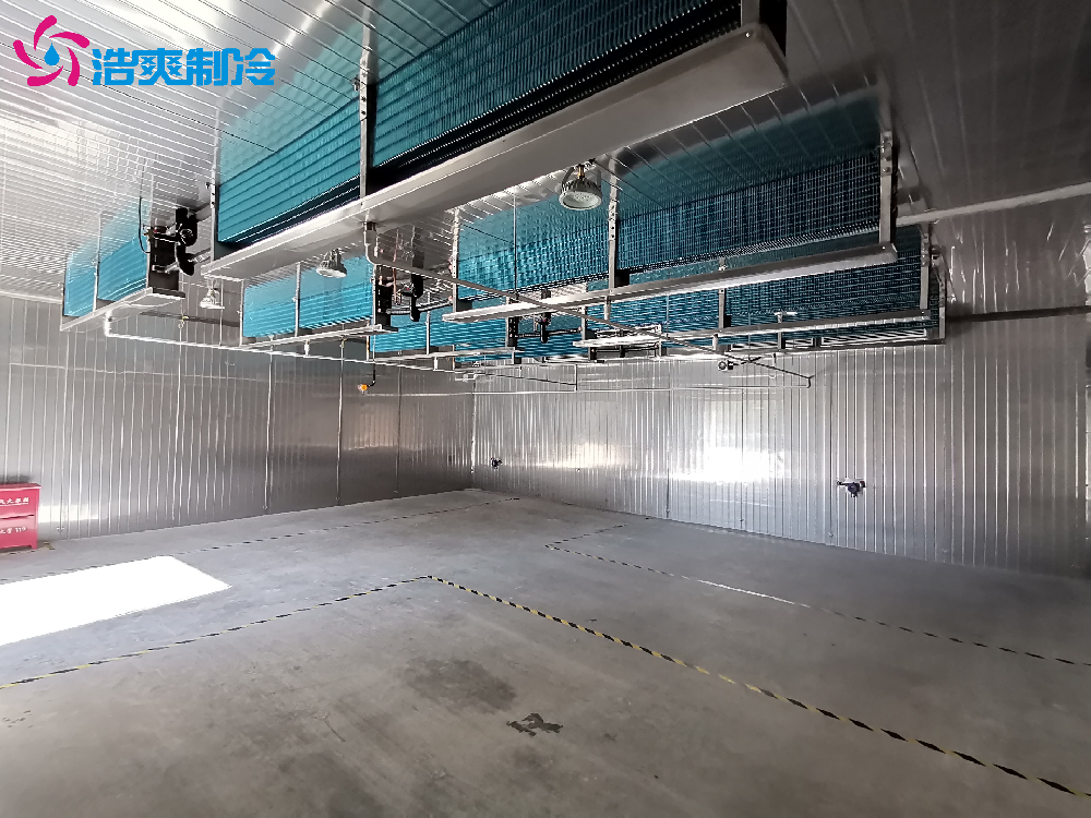 定制IICT4电子化工防爆冷库安装设计建造施工方案 定制IICT4电子化工防爆冷库安装设计建造施工方案