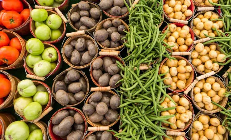 蔬菜冷库的五种预冷方式介绍