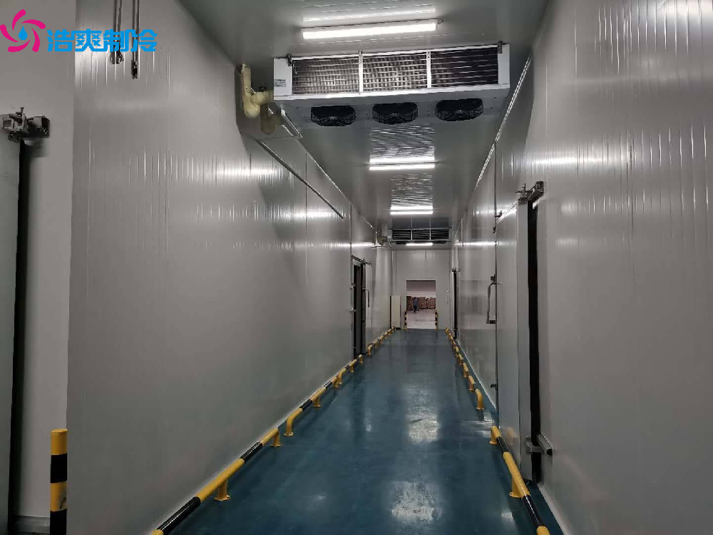 保鲜冷藏冷库中的蔬菜保存技巧