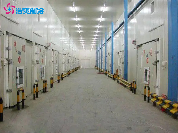 5万斤苹果需要建多大冷库 大概多少钱一平方 5万斤苹果需要建多大冷库 大概多少钱一平方