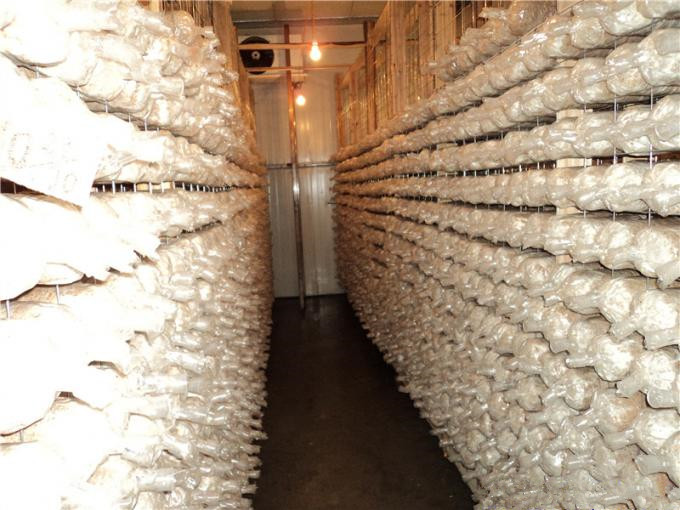 建一个100平方香菇冷库全套要多少钱？