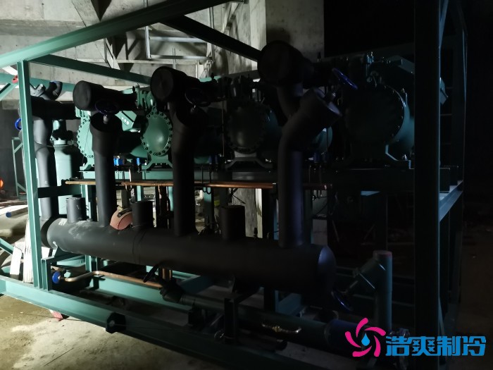 德国比泽尔半封闭螺杆压缩机组