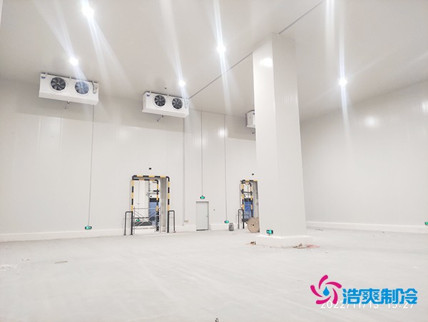 二氧化碳物流冷库建造施工完成内景