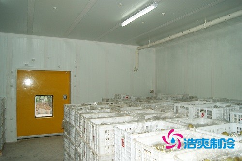 图示:浩爽制冷为蜜之源果业建造的柑橘气调冷库