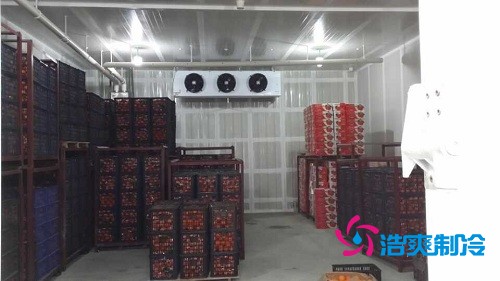 已经完工的气调冷鲜库