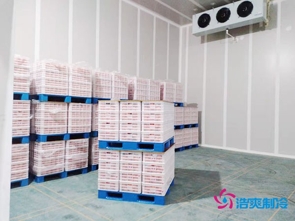 气调保鲜冷库内景图