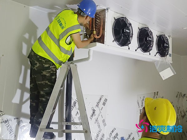 建造一个300平方米的冷冻库造价需要多少资金投入呢？