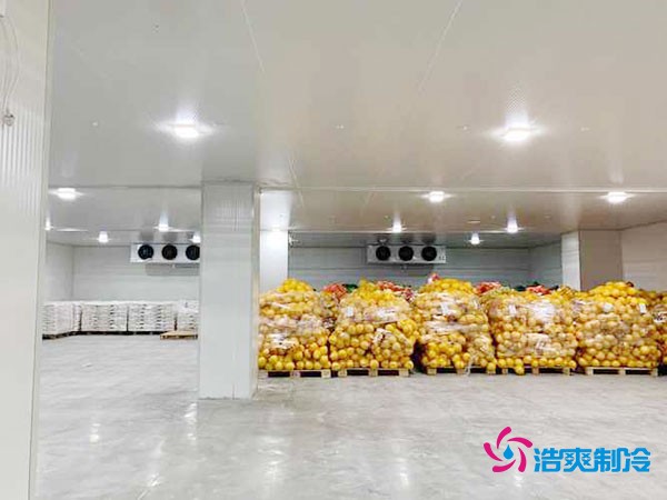 建造一个300平方米的冷冻库造价需要多少资金投入呢？