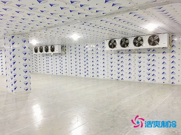 冷库造价一平米如何计算？智能冷库建造方案再降百元！