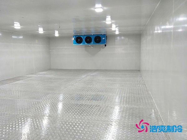 建造100平米-60℃存储金枪鱼的超低温冷库造价多少钱？