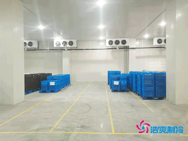 建设一个海鲜低温冷库造价多少钱一平方？