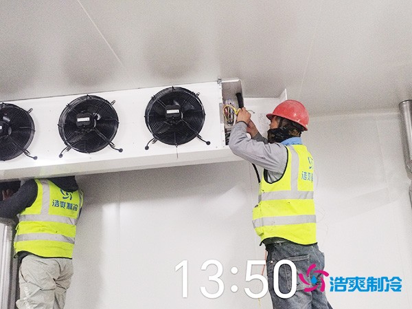 不同类型冷库造价