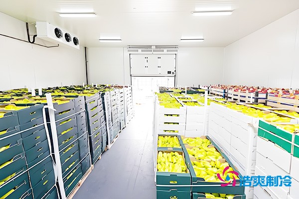 1000吨气调冷库造价