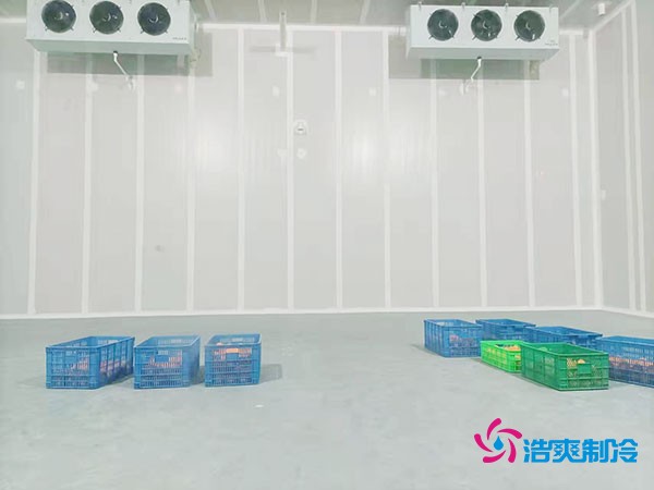 200吨蔬菜保鲜冷库造价多少钱？需要多大面积？