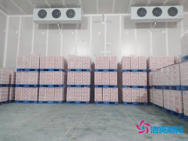 气调冷库造价成本预算