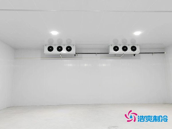 大约需要多少资金才能安装一座小型移动式冷库？