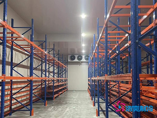 建中型冷库要花多少钱？这些关键因素你必须知道-浩爽制冷