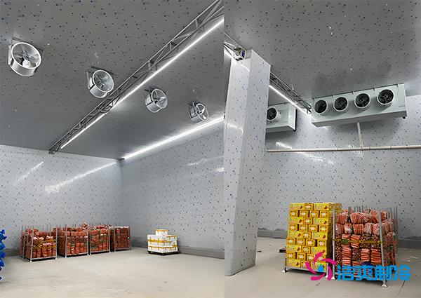 1000吨果蔬保鲜库造价揭秘，节省成本就靠这几点！