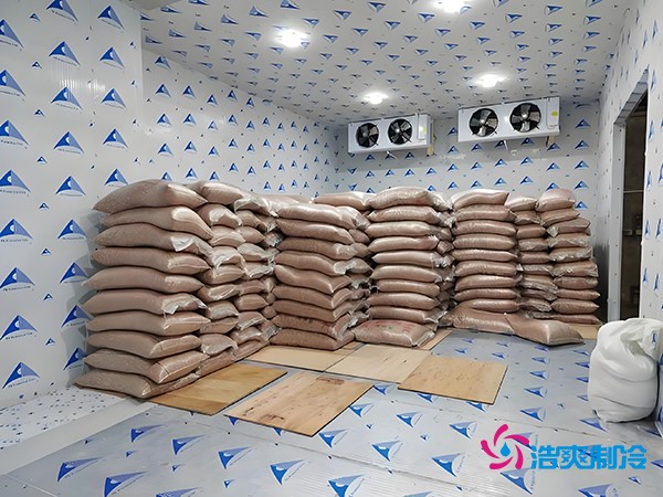 2万起建种子冷库？这些因素让造价翻倍！