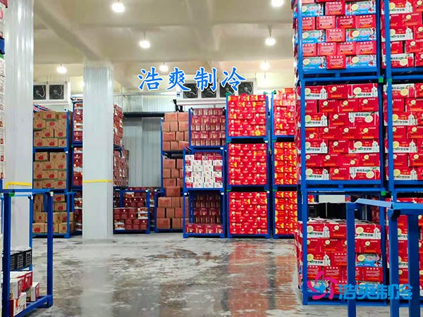 500平果蔬冷库造价曝光！35万起建，省钱秘诀在这里！