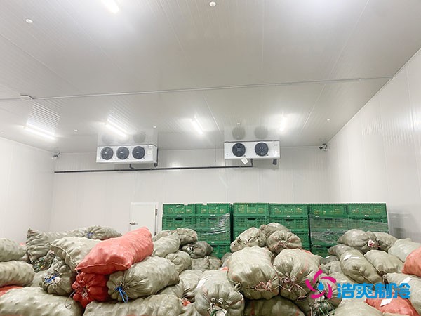 500平果蔬冷库造价曝光！35万起建，省钱秘诀在这里！