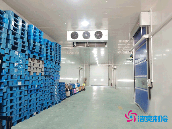 冷库造价悬殊？揭秘每平米价格背后的秘密！