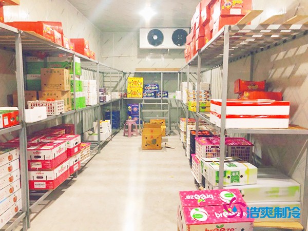 5吨水果需要多大冷库？答案出乎意料！