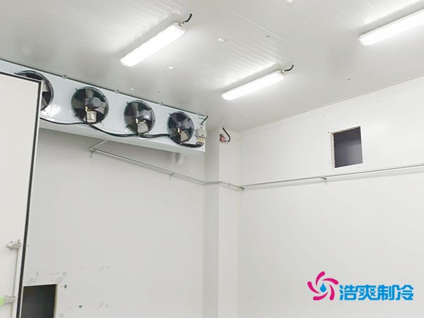 上海小型冷库造价揭秘！2万起真的靠谱吗？