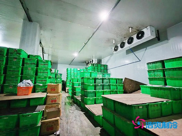 水果保鲜冷库建造价格每平米多少钱？