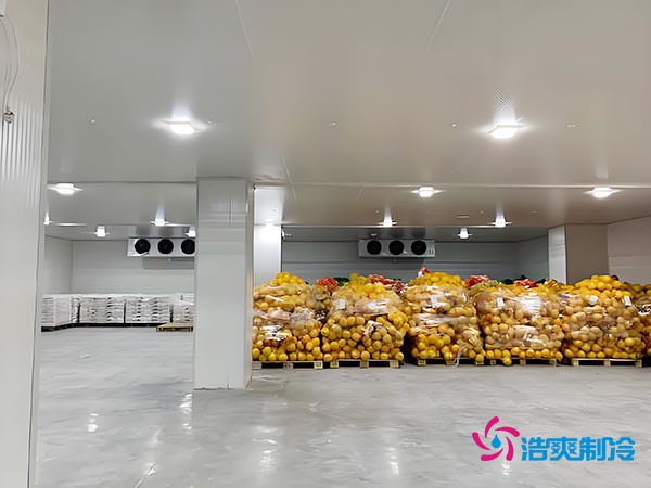 20吨玉米如何长期保鲜？冷库造价大揭秘！