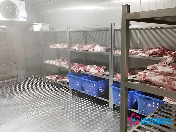 100吨冻肉冷库造价预算概览与设计建造方案