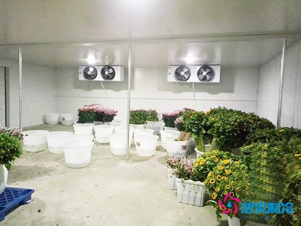 建造500㎡花卉鲜花冷库工程造价预算解析