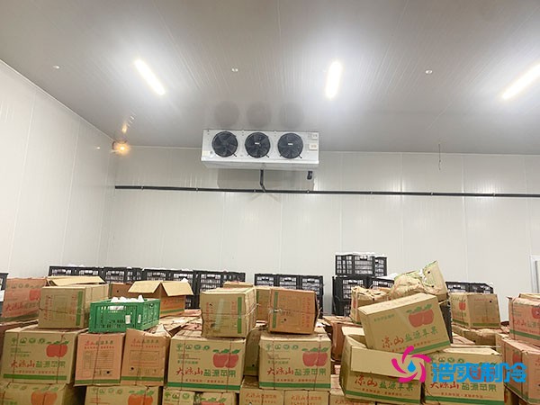 果蔬保鲜冷库的建造费用