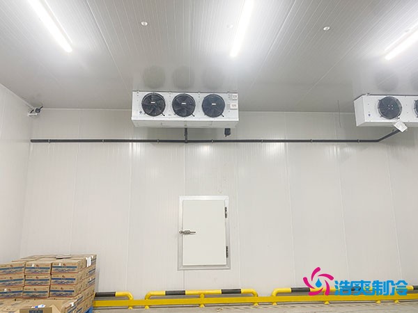 100平方米洋葱冷藏库造价