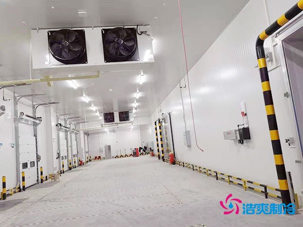 大型冷库造价