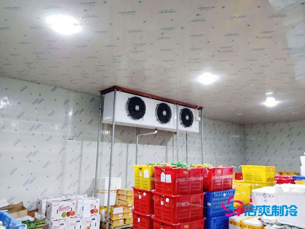 蔬菜保鲜库建设