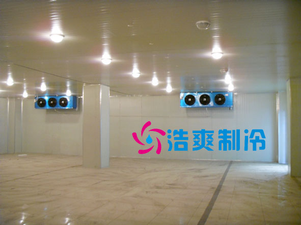 冷冻库