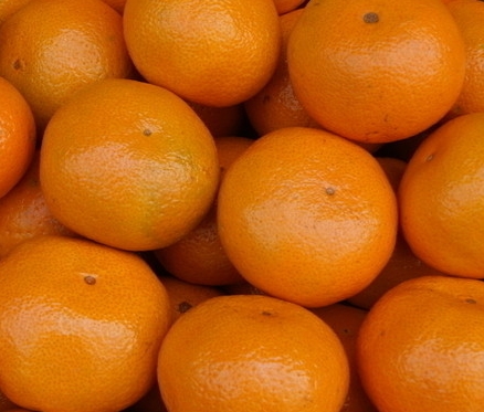 果蔬保鲜冷库工程