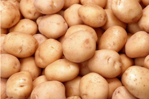 土豆马铃薯冷库