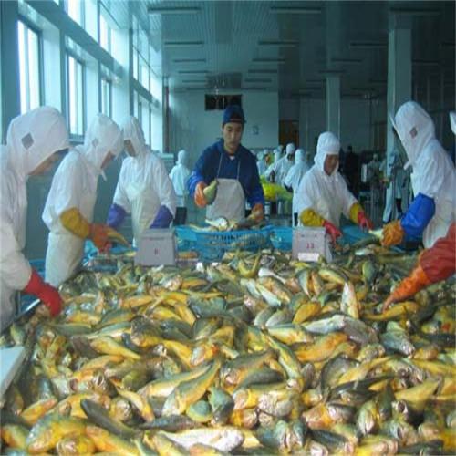 200吨海鲜产品冷冻库