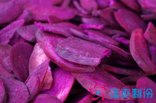 1000吨紫薯保鲜库