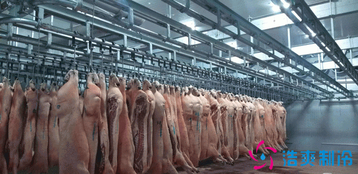 北京1000平米肉类冷库