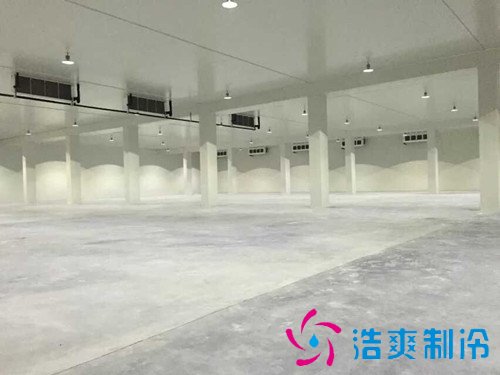 建一个700吨水果冷库造价多少钱