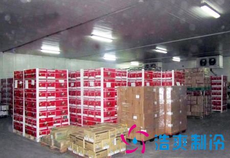 300吨水果冷库
