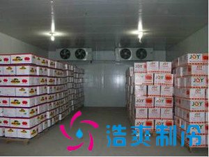 300吨水果冷库