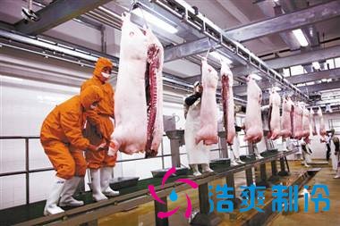 3000立方冻肉冷库设计造价费用是多少？由于国家对冷链物流的重视，冷链物流行业的发展逐渐增长趋势，冷链物流也正在慢慢改变人们的生活。