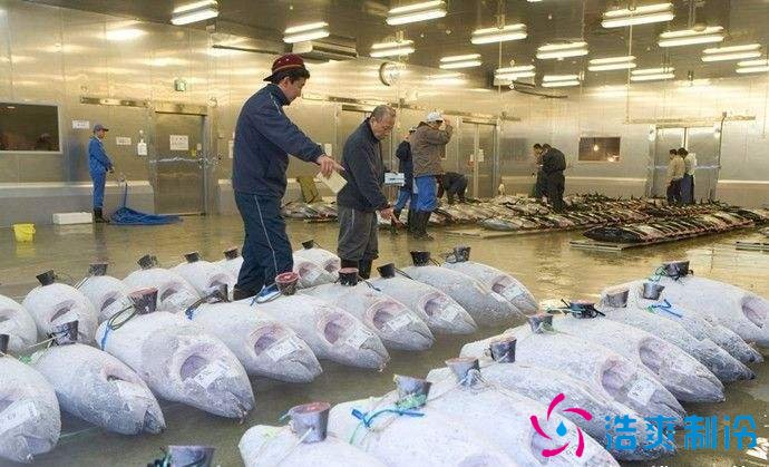 1000平米海鲜速冻冷库